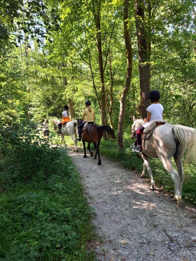 Pferdehof Ansteingut Villa Sluderno Buitenkant foto